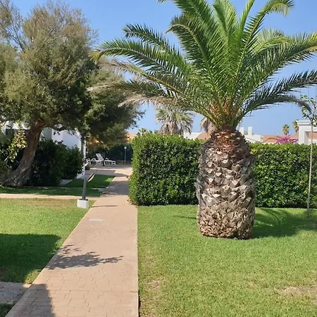 Golondrinas